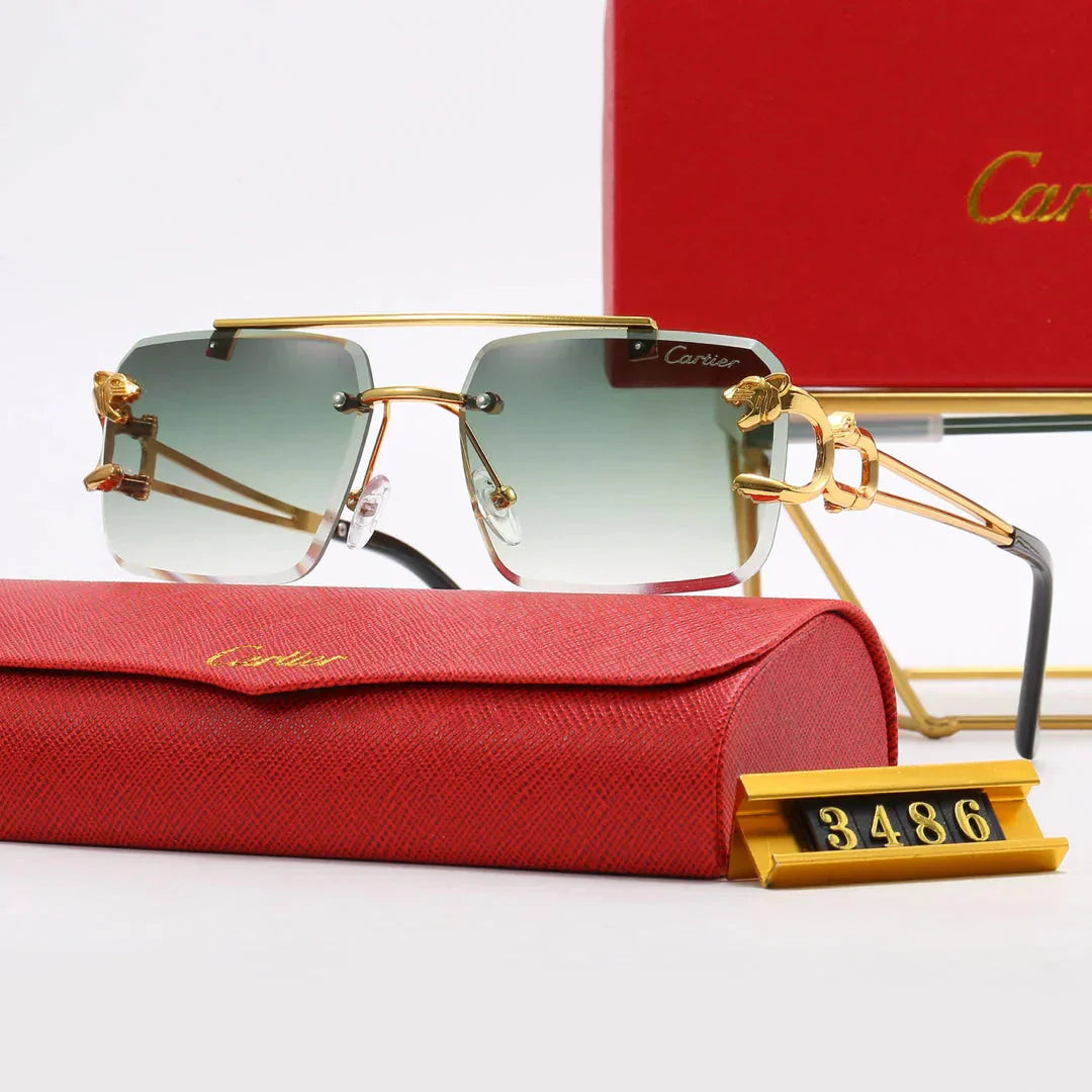 Lunettes de soleil mode 5 couleurs—3486